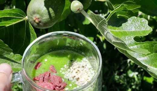 Why Amazake in Summer