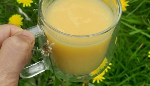 Recipe: Amazake Smoothie with Pineapple core & mango