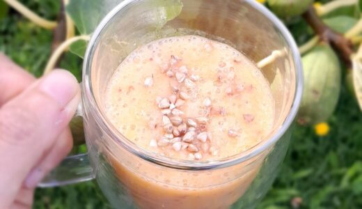 Amazake smoothie with nectarine