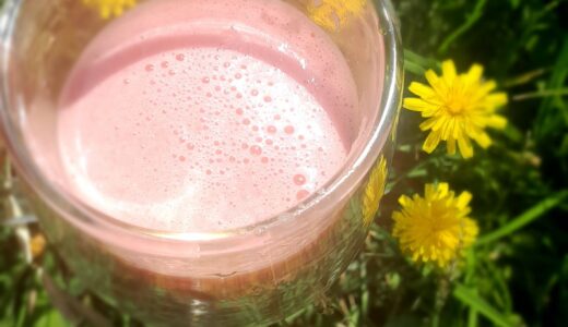 Recipe:🍉watermelon Amazake Summer Juice&Granita