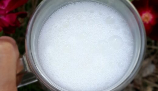 Bubbly Wednesday<br>Amazake Yogurt Lassi