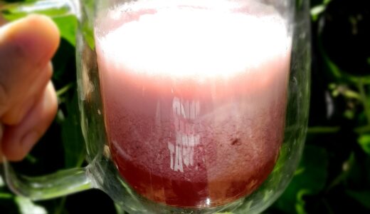 Ruby Sour Thursday – Plum Amazake