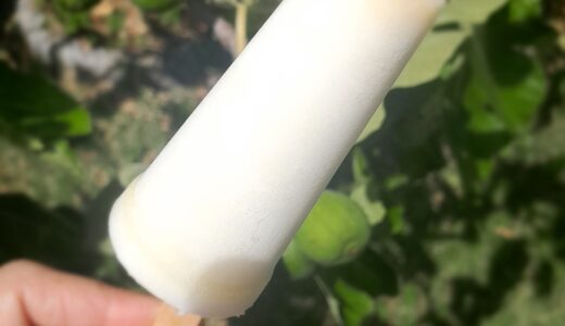 45°C Survival Amazake Yogurt