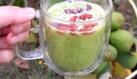 Back to School Boost 🌿