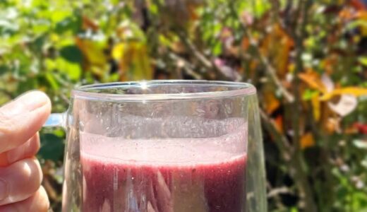 Amazake Smoothie      with Acai, Cucumber     and Hemp Seeds